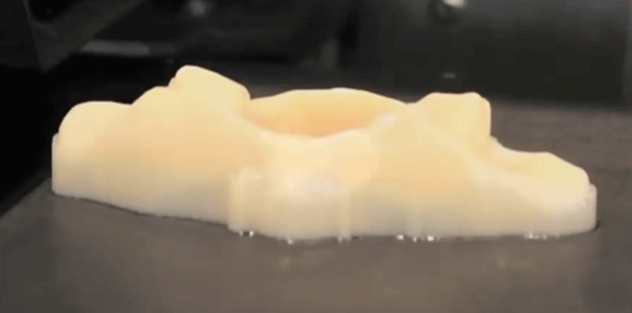 3D Printed Biotissue (Heart Valves) at Henry Ford Innovation Institute