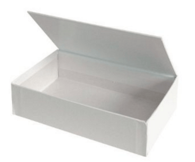 Paper box with living hinge